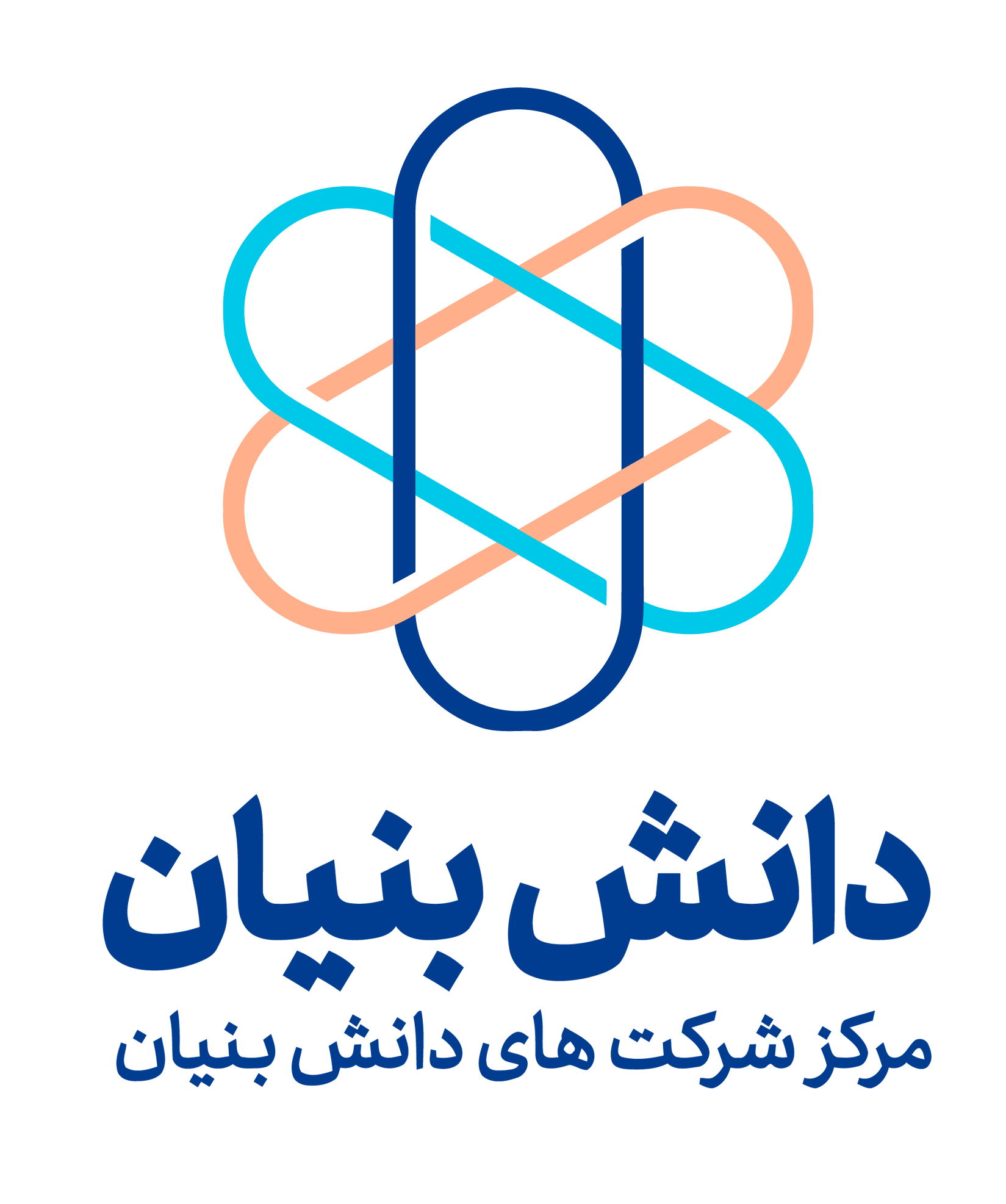 شرکت دانش بنیان